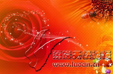2009121910330793689.jpg