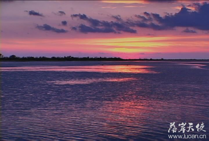 5[20100924-0756160].JPG