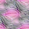 046.jpg
