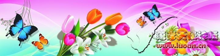 tulp.jpg