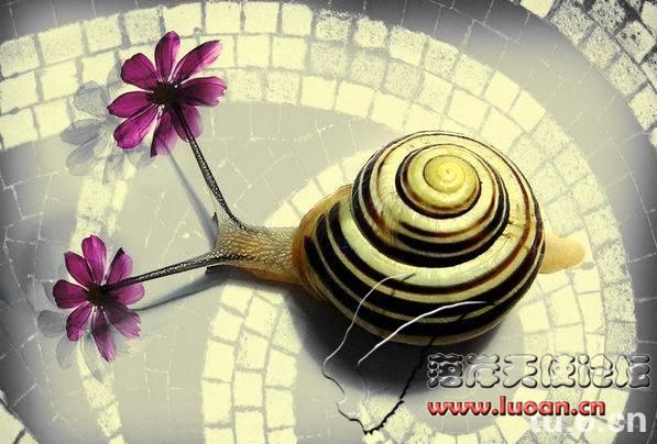 9aaaa399e46cf64f872d4c7161804d56.jpg